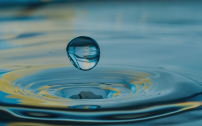 💧 Groundwater Awareness Week 💧