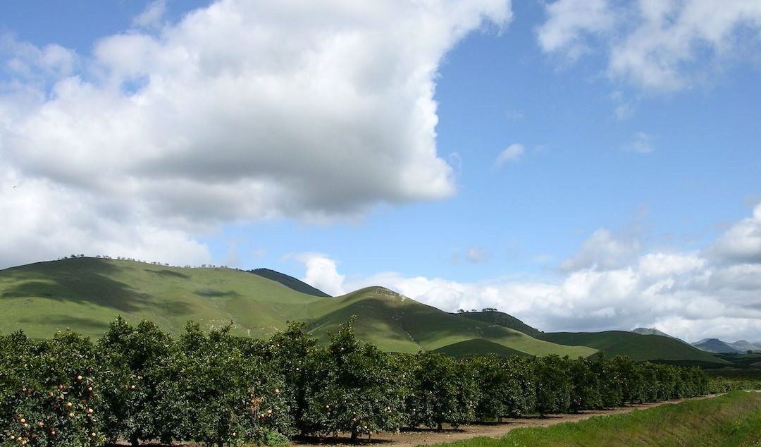 Revised Groundwater Sustainability Plan Addresses State’s Concerns