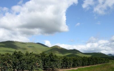 Revised Groundwater Sustainability Plan Addresses State’s Concerns