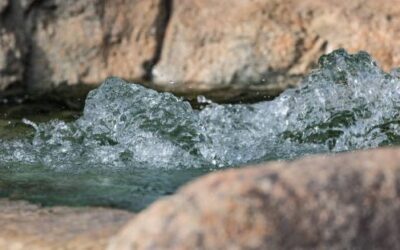 Greater Kaweah GSA to Add Seat to Rural Communities Committee
