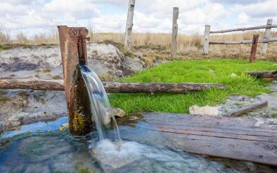 Greater Kaweah Land Fallowing Program