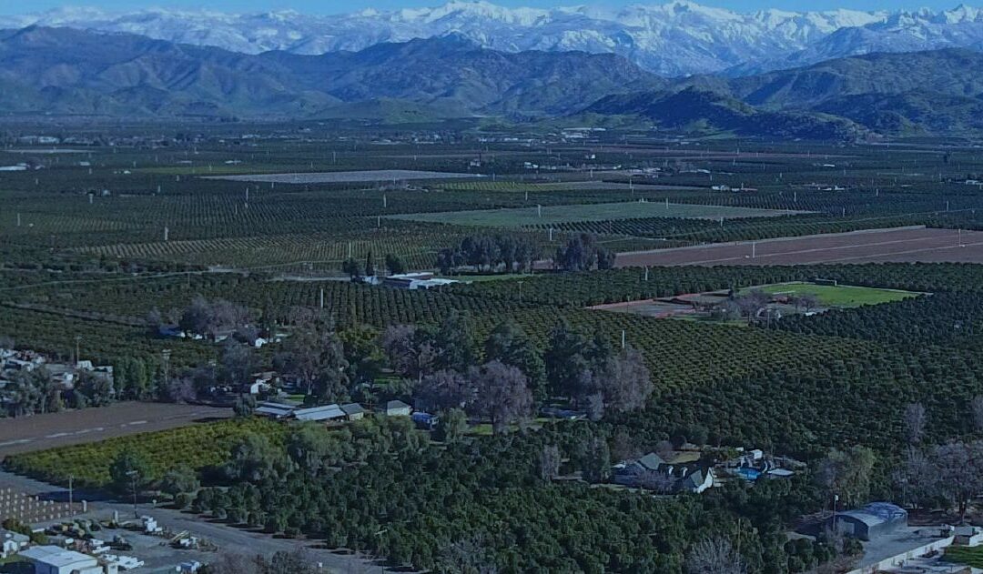 Kaweah Water Marketing Strategy