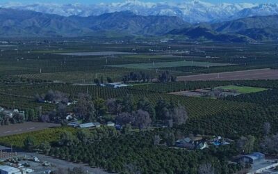 Kaweah Water Marketing Strategy