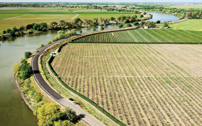 Water Year 2027 Groundwater Allocations